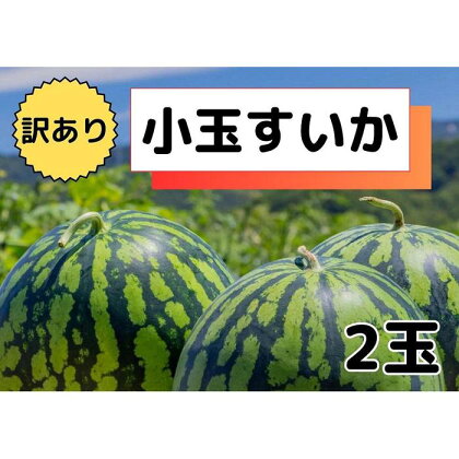 すいか 訳あり 八色原すいか 小玉 2玉 | フルーツ 果物 くだもの 食品 人気 おすすめ 送料無料 わけあり