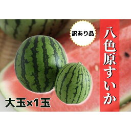 【ふるさと納税】すいか 訳あり 新潟県南魚沼産 八色原スイカ 大玉 1玉 | フルーツ 果物 くだもの 食品 人気 おすすめ 送料無料　わけあり