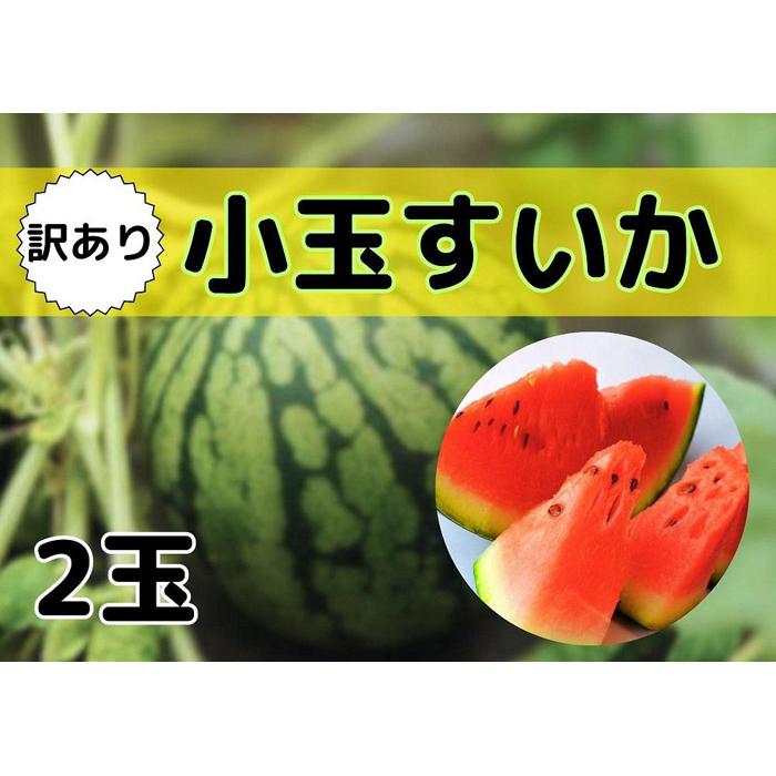 7位! 口コミ数「1件」評価「5」すいか 訳あり 新潟県南魚沼産 八色原スイカ 小玉 2玉 | フルーツ 果物 くだもの 食品 人気 おすすめ 送料無料　わけあり