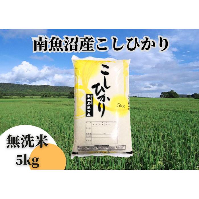 【ふるさと納税】中【令和5年産】【新潟県 特A地区】南魚沼産こしひかり 無洗米5kg | お米 こめ 白米 コシヒカリ 食品 人気 おすすめ 送料無料 魚沼 南魚沼 南魚沼市 新潟県産 新潟県 精米 産直 産地直送 お取り寄せ