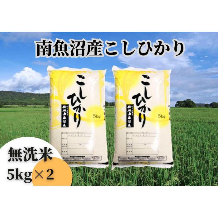 【ふるさと納税】中【令和5年産】【新潟県 特A地区】南魚沼産こしひかり 無洗米10kg（5kg×2袋） | お米 こめ 白米 コシヒカリ 食品 人気 おすすめ 送料無料 魚沼 南魚沼 南魚沼市 新潟県産 新潟県 精米 産直 産地直送 お取り寄せ