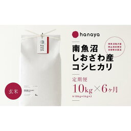 【ふるさと納税】＜定期便＞南魚沼しおざわ産コシヒカリ　従来品種　玄米10kg(5kg×2)×全6回