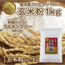 【ふるさと納税】玄米粉 250g×4袋 計1kg 魚沼産 コシヒカリ 玄米 白米粉 グルテンフリー 小麦不使用 GABA アレルギー お取り寄せ パン ケーキ 菓子 ギフト 送料無料 コパフーズ 新潟県 南魚沼市 | 食品 加工食品 人気 おすすめ 送料無料