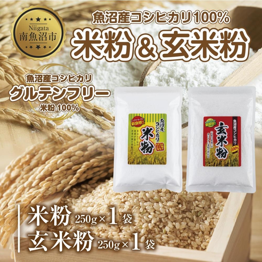 新潟県産 米粉 玄米粉 セット 各250g 計500g 魚沼産 コシヒカリ 白米粉 アレルギー グルテンフリー GABA お取り寄せ 製菓 パン作り 製菓 送料無料 コパフーズ 新潟県 南魚沼市 | 食品 加工食品 人気 おすすめ 送料無料