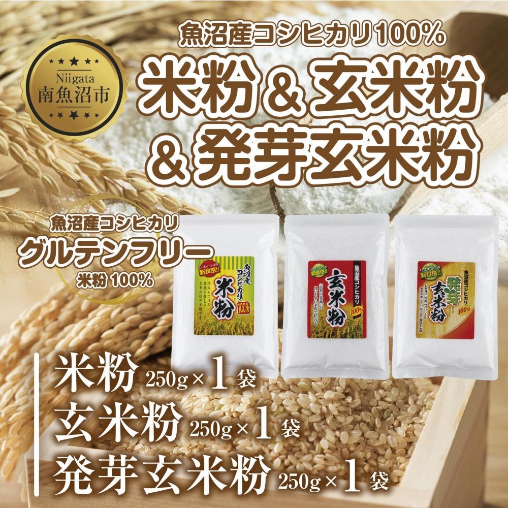 【ふるさと納税】新潟県産 米粉 発芽玄米粉 玄米粉 各250g 計750g 魚沼産 コシヒカリ 玄米 アレルギー グルテンフリー GABA お取り寄せ 製菓材料 パン作り 製菓 コパフーズ 新潟県 南魚沼市 | …