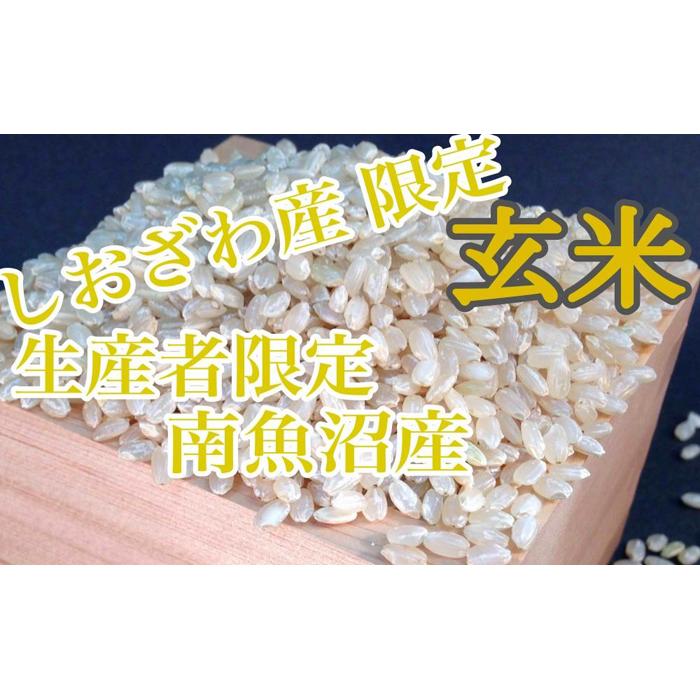 【ふるさと納税】【定期便2kg×3ヶ月】玄米 しおざわ産限定 生産者限定 南魚沼産コシヒカリ