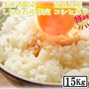 【ふるさと納税】【令和7年産】【精米15kg】しおざわ産限定 生産者限定 南魚沼産コシヒカリ【2025年10月上旬より順次発送予定】 | お米 こめ 白米 コシヒカリ 食品 人気 おすすめ 送料無料 魚沼 南魚沼 南魚沼市 新潟県産 新潟県