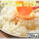 【ふるさと納税】【令和7年産】【精米20kg】しおざわ産限定 生産者限定 南魚沼産コシヒカリ【2025年10月上旬より順次発送予定】 | お米 こめ 白米 コシヒカリ 食品 人気 おすすめ 送料無料 魚沼 南魚沼 南魚沼市 新潟県産 新潟県