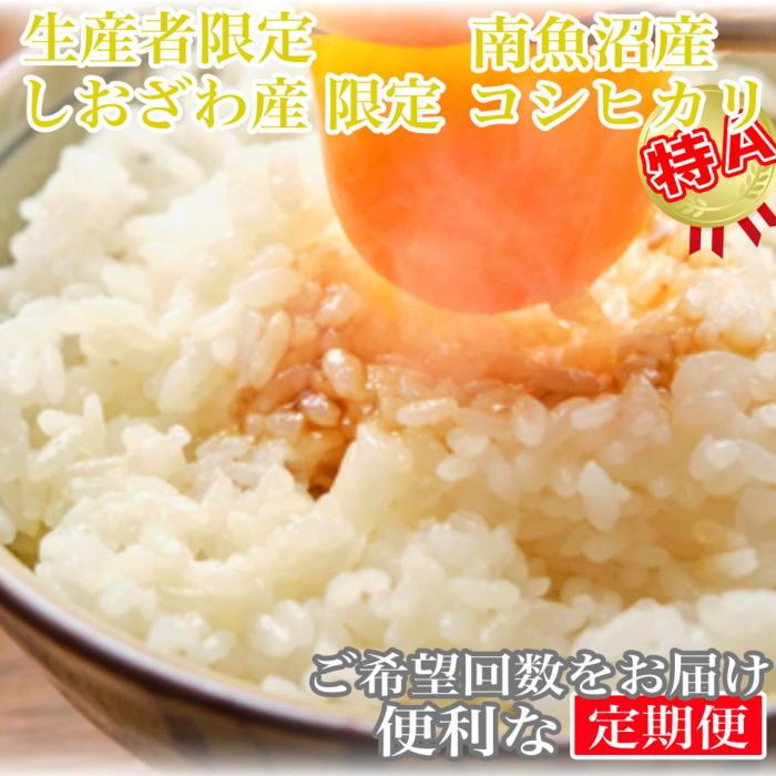 【ふるさと納税】【令和7年産】【定期便20kg×12ヶ月】しおざわ産限定 生産者限定 南魚沼産コシヒカリ【2025年10月上旬より順次発送予定】 | お米 こめ...