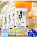 【ふるさと納税】【令和7年産】●吟精 無洗米●南魚沼産コシヒカリ8kg【2025年10月上旬より順次発送予定】 | お米 こめ 白米 コシヒカリ 食品 人気 おすすめ 送料無料 魚沼 南魚沼 南魚沼市 新潟県産 新潟県