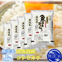 【ふるさと納税】【令和7年産】●吟精 無洗米●南魚沼産コシヒカリ10kg【2025年10月上旬より順次発送予定】 | お米 こめ 白米 コシヒカリ 食品 人気 おすすめ 送料無料 魚沼 南魚沼 南魚沼市 新潟県産 新潟県