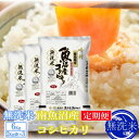 【ふるさと納税】【令和7年産】【定期便6kg×9ヶ月】●吟精 無洗米●南魚沼産コシヒカリ【2025年10月上旬より順次発送予定】 | お米 こめ 白米 コシヒカリ 食品 人気 おすすめ 送料無料 魚沼 南魚沼 南魚沼市 新潟県産 新潟県