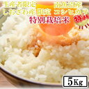 【ふるさと納税】【令和7年産】【精米5kg】特別栽培 しおざわ産限定 生産者限定 南魚沼産コシヒカリ【2025年10月上旬より順次発送予定】 | お米 こめ 白米 コシヒカリ 食品 人気 おすすめ 送料無料 魚沼 南魚沼 南魚沼市 新潟県産 新潟県