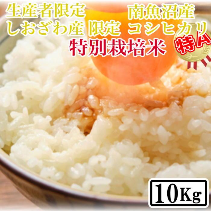 【ふるさと納税】【精米10kg】特別栽培 しおざわ産限定 生