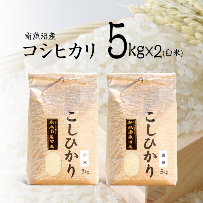 【ふるさと納税】米 コシヒカリ 南魚沼産 10kg ( 5kg × 2袋 ) | お米 こめ 白米 食品 人気 おすすめ 送料無料 魚沼 南魚沼 南魚沼市 新潟県 精米 産直 産地直送 お取り寄せ