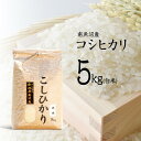 【ふるさと納税】米 コシヒカリ 南魚沼産 5kg お米 こめ 白米 食品 人気 おすすめ 送料無料 魚沼 南魚沼 南魚沼市 新潟県 精米 産直 産地直送 お取り寄せ