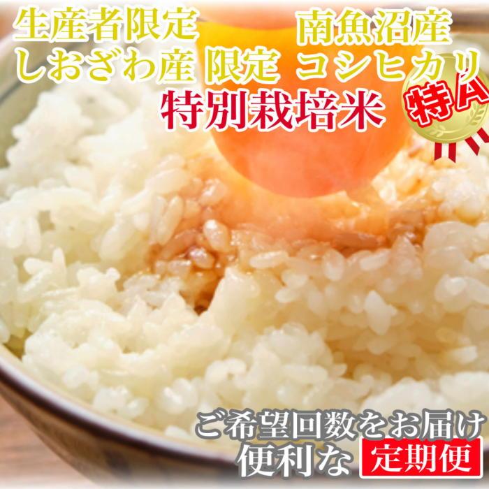 【ふるさと納税】【令和7年産】【定期便20kg×12ヶ月】特別栽培 しおざわ産限定 生産者限定 南魚沼産コシヒカリ【2025年10月上旬より順次発送予定】 | ...