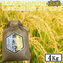 【ふるさと納税】【令和7年産】【4kg】玄米 しおざわ産限定 生産者限定 南魚沼産コシヒカリ【2025年10月上旬より順次発送予定】 | お米 こめ 食品 コシヒカリ 人気 おすすめ 送料無料 魚沼 南魚沼 南魚沼市 新潟県 玄米 産直 産地直送 お取り寄せ