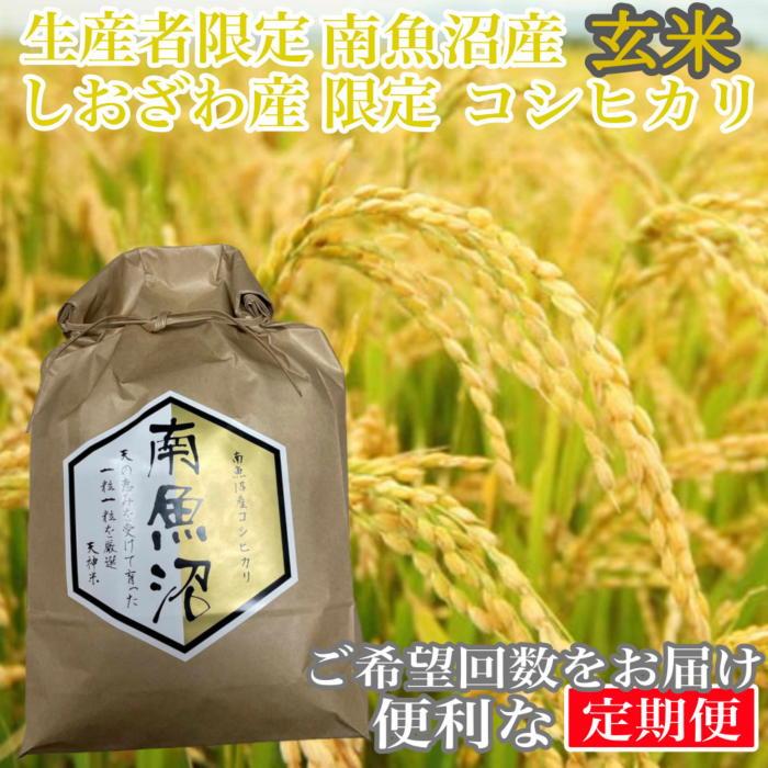 【ふるさと納税】【定期便5kg×12ヶ月】玄米 しおざわ産限