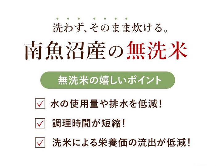 【ふるさと納税】【12月20日ご入金確認分まで年内発送】【令和7年産 新米】南魚沼産コシヒカリ（無洗米）【5kg×2】【令和7年11月下旬以降発送】 | 白米 コシヒカリ 食品 人気 おすすめ 送料無料 魚沼 南魚沼 南魚沼市 新潟県産 新潟県 精米 産直