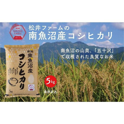 米 定期便 無洗米 コシヒカリ 南魚沼産 15kg ( 5kg × 3ヶ月 ) | お米 こめ 白米 食品 人気 おすすめ 送料無料 魚沼 南魚沼 南魚沼市 新潟県 精米 産直 産地直送 お取り寄せ お楽しみ