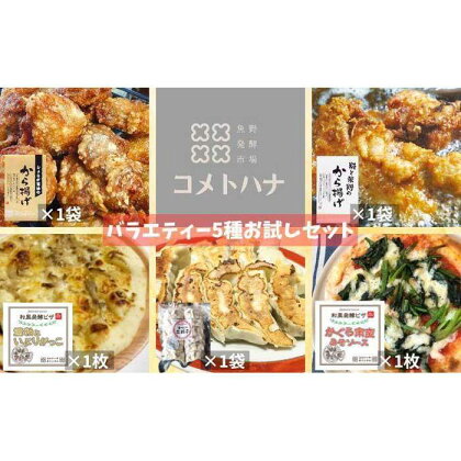 【全5種類！ バラエティーお試しセット】 塩麹 しょうが醬油 から揚げ 和風発酵ピザ 野菜餃子 各種1袋 計5袋 | 肉 お肉 にく 食品 人気 おすすめ 送料無料 ギフト