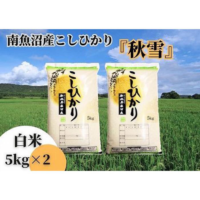 【ふるさと納税】【令和7年産 新米予約 全12回定期便】南魚沼産コシヒカリ「秋雪」白米10kg(5kg×2袋)×12回 新潟県の特A地区南魚沼市の美味しいお米【2025年(令和7年)10月上旬より順次発送予定】【米 お米 こしひかり 南魚沼 米 白米 こめ 新潟 米】 | お米 南魚沼市