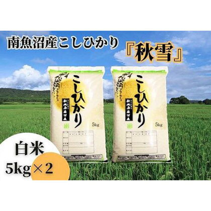 【令和5年産 全12回定期便】南魚沼産コシヒカリ「秋雪」白米10kg（5kg×2袋）×12回 新潟県の特A地区南魚沼市の美味しいお米 | お米 こめ 白米 食品 人気 おすすめ 送料無料