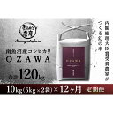 【ふるさと納税】【OZAWA：定期便/10kg×全12回】内