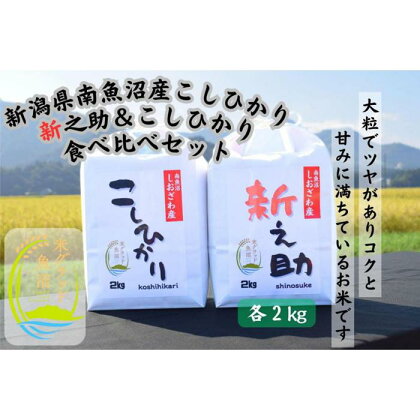 新之助2kg ＆ 塩沢コシヒカリ2kg　合計4kg　食べ比べセット