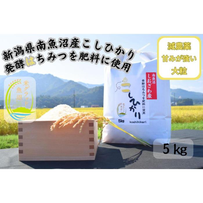 【ふるさと納税】新潟