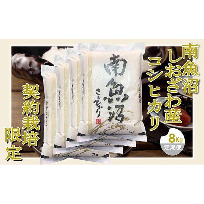 【ふるさと納税】【定期便 精米8Kg×12ヶ月】契約栽培限定 南魚沼しおざわ産コシヒカリ | お米 こめ 白米 食品 人気 おすすめ 送料無料 魚沼 南魚沼 南魚沼市 新潟県 精米 産直 産地直送 お取り寄せ お楽しみ