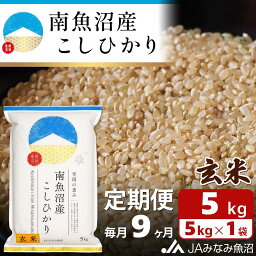 【ふるさと納税】米 定期便 玄米 南魚沼産 コシヒカリ 45kg ( 5kg × 9ヵ月 ) | お米 こめ 食品 人気 おすすめ 送料無料 魚沼 南魚沼 南魚沼市 新潟県 精米 産直 産地直送 お取り寄せ お楽しみ