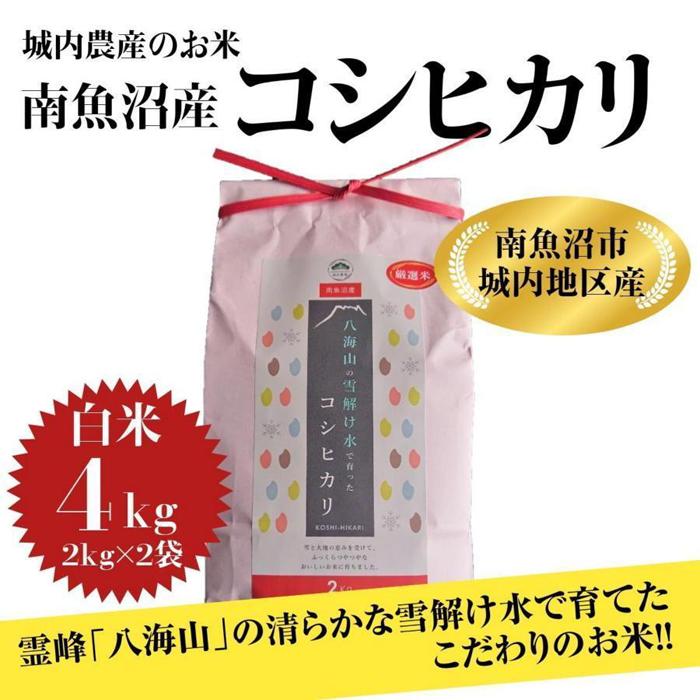 【ふるさと納税】【令和5年産 】新潟県 南魚沼産 コシヒカリ お米 こしひかり 精米 白米 のし 贈り物 熨斗 贈答用 令和5年産 城内農産 特A地区米 4kg 2kg 2袋 | お米 こめ 白米 コシヒカリ 食…