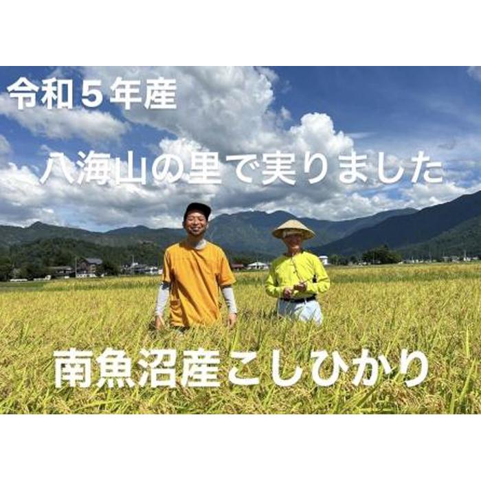 59位! 口コミ数「0件」評価「0」南魚沼産こしひかり5kg　八海山の里で実りました。[令和5年産] | お米 こめ 白米 コシヒカリ 食品 人気 おすすめ 送料無料 魚沼 南･･･ 