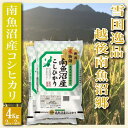 【ふるさと納税】【令和7年産】米 コシヒカリ 南魚沼 4kg 雪国逸品 越後南魚沼郷【2025年10月上旬より順次発送予定】 | お米 こめ 白米 コシヒカリ 食品 人気 おすすめ 送料無料 魚沼 南魚沼 南魚沼市 新潟県産 新潟県