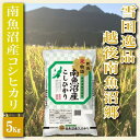 【ふるさと納税】【令和7年産】米 コシヒカリ 南魚沼 5kg 雪国逸品 越後南魚沼郷【2025年10月上旬より順次発送予定】 | お米 こめ 白米 コシヒカリ 食品 人気 おすすめ 送料無料 魚沼 南魚沼 南魚沼市 新潟県産 新潟県
