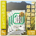 【ふるさと納税】【令和7年産】米 定期便 コシヒカリ 南魚沼産 72kg ( 6kg × 12ヶ月 ) 雪国逸品 越後南魚沼郷【2025年10月上旬より順次発送予定】 | お米 こめ 白米 コシヒカリ 食品 人気 おすすめ 送料無料 魚沼 南魚沼 南魚沼市 新潟県産 新潟県