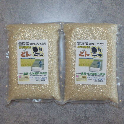 米 定期便 コシヒカリ 南魚沼産 48kg ( 4kg × 12ヵ月 ) 雲洞産 「どん米」 真空パック | お米 こめ 白米 コシヒカリ 食品 人気 おすすめ 送料無料 魚沼 南魚沼 南魚沼市 新潟県産 新潟県 精米 産直 産地直送 お取り寄せ お楽しみ