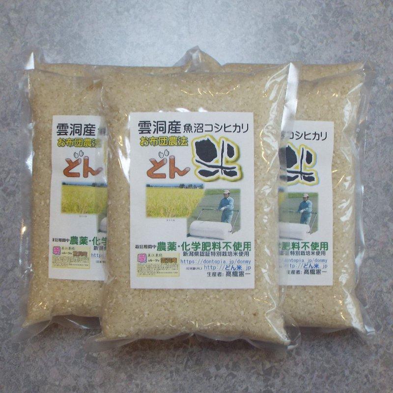 【ふるさと納税】米 定期便 コシヒカリ 南魚沼産 90kg ( 7.5kg × 12ヵ月 ) 雲洞産 「どん米」 | お米 こめ 白米 コシヒカリ 食品 人気 おすすめ 送料無料 魚沼 南魚沼 南魚沼市 新潟県産 新潟県 精米 産直 産地直送 お取り寄せ お楽しみ