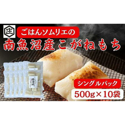 ごはんソムリエの南魚沼産こがねもち　庄治郎　500g×10袋　個包装 | お米 こめ 白米 食品 人気 おすすめ 送料無料