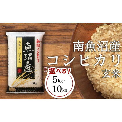 南魚沼産コシヒカリ 玄米　5kg／10kg（5kg×2袋） | お米 こめ 食品 コシヒカリ 人気 おすすめ 送料無料 魚沼 南魚沼 南魚沼市 新潟県 玄米 産直 産地直送 お取り寄せ