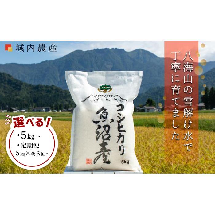 25位! 口コミ数「5件」評価「4.4」南魚沼産コシヒカリ 【5割減農薬栽培米】 城内農産　白米5kg・10kg／無洗米5kg・10kg・20kg／定期便各種 | お米 こめ 白米･･･ 