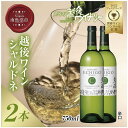 【ふるさと納税】越後ワイン シャルドネ 白 750ml 2本