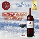 【ふるさと納税】雪室熟成ワイン レッドウルフ 赤ワイン 75