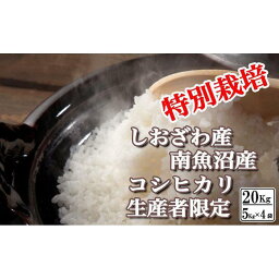 【ふるさと納税】米 コシヒカリ 南魚沼しおざわ産 20kg ( 5kg × 4袋 ) 特別栽培 | お米 こめ 白米 食品 人気 おすすめ 送料無料 魚沼 南魚沼 南魚沼市 新潟県 精米 産直 産地直送 お取り寄せ