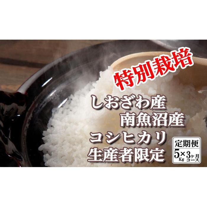 【ふるさと納税】米 定期便 コシヒカリ 南魚沼しおざわ産 15kg ( 5kg × 3ヶ月 ) 特別栽培 | お米 こめ 白米 コシヒカリ 食品 人気 おすすめ 送料無料 魚沼 南魚沼 南魚沼市 新潟県産 新潟県 精米 産直 産地直送 お取り寄せ お楽しみ