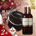 【ふるさと納税】無地熨斗 ドメーヌ・越後カベルネ 赤 750ml 2本セット アグリコア 越後ワイナリー 南魚沼市産カベルネソーヴィニヨン 辛口 ミディアムボデ...