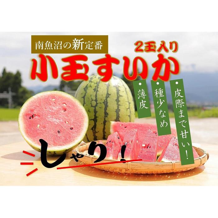 [令和6年/小玉すいか予約]パリ!シャリ!甘〜い!2玉入り[食べきりサイズ] | フルーツ 果物 くだもの 食品 人気 おすすめ 送料無料