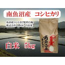 【ふるさと納税】【令和7年産】【南魚沼産】コシヒカリ 白米5kg【2025年9月中旬より順次発送予定】 | お米 こめ 白米 食品 人気 おすすめ 送料無料